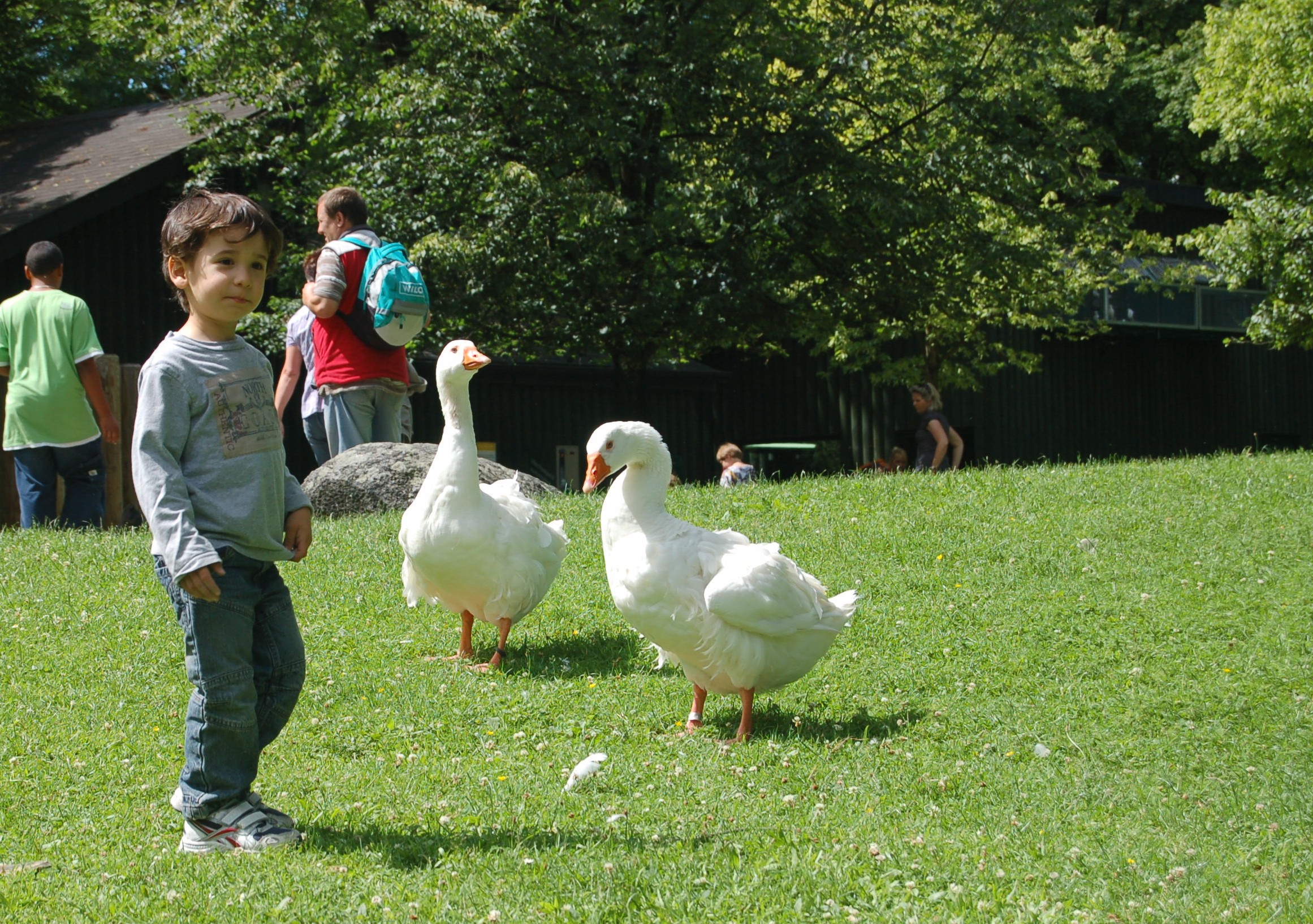 Monaco zoo