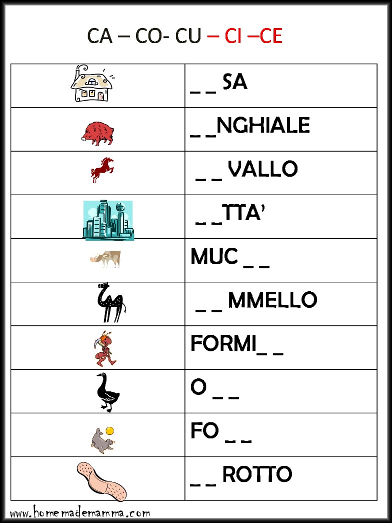 Attivita Prima Elementare