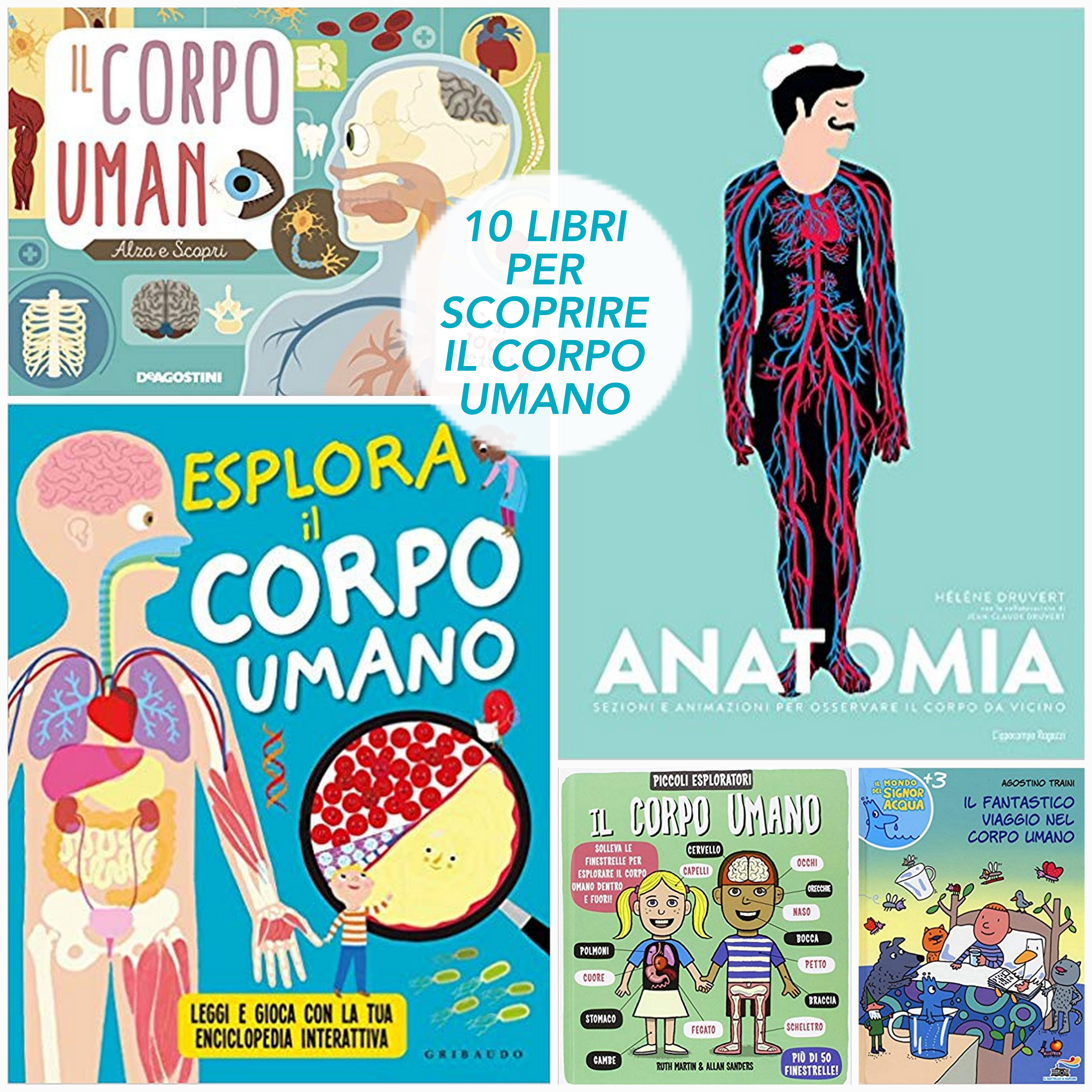 10 Libri Per Scoprire Il Corpo Umano