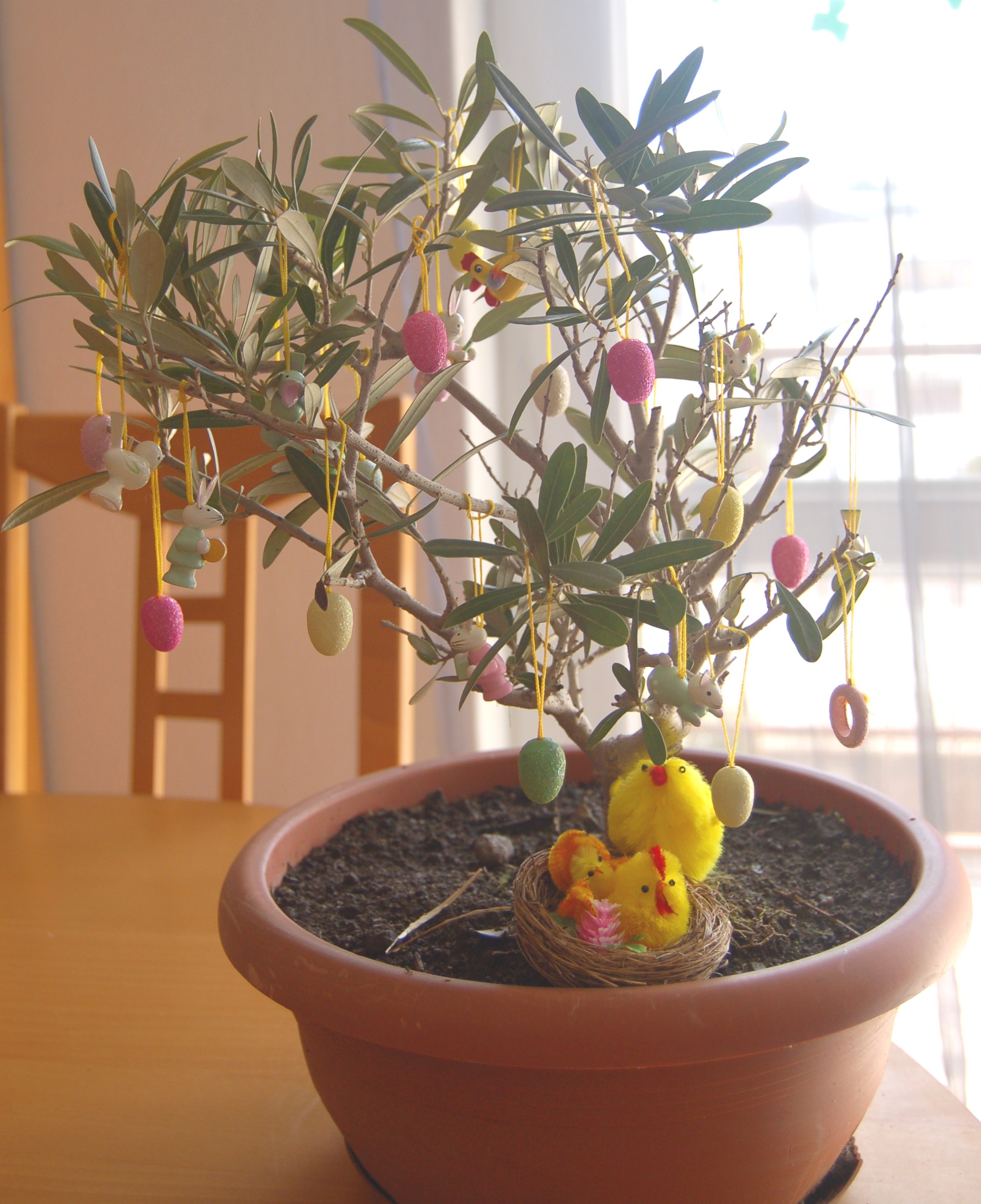 albero-di-pasqua31