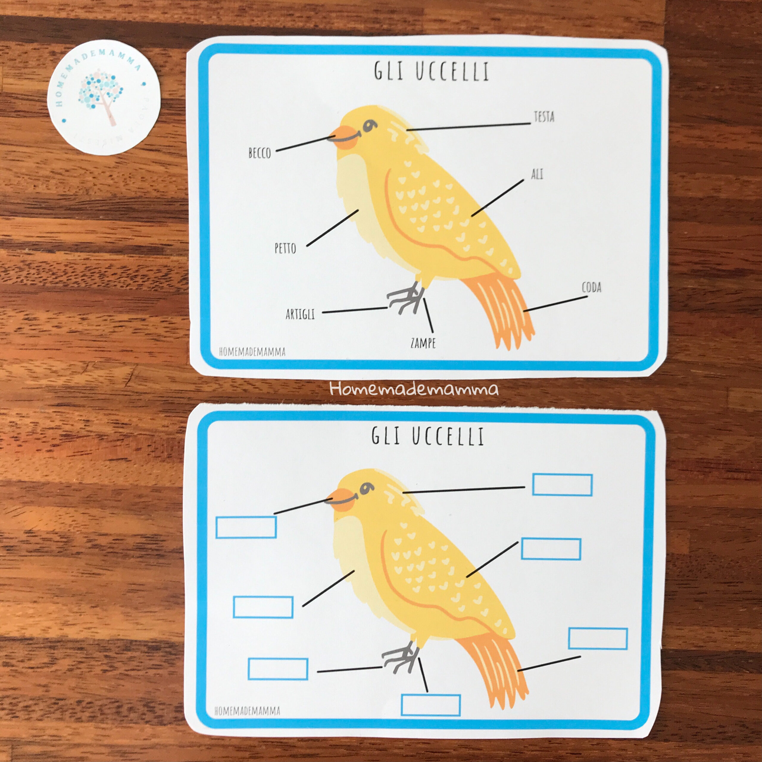 Schede e giochi per scoprire gli uccelli Da stampare Bambini scuola primaria