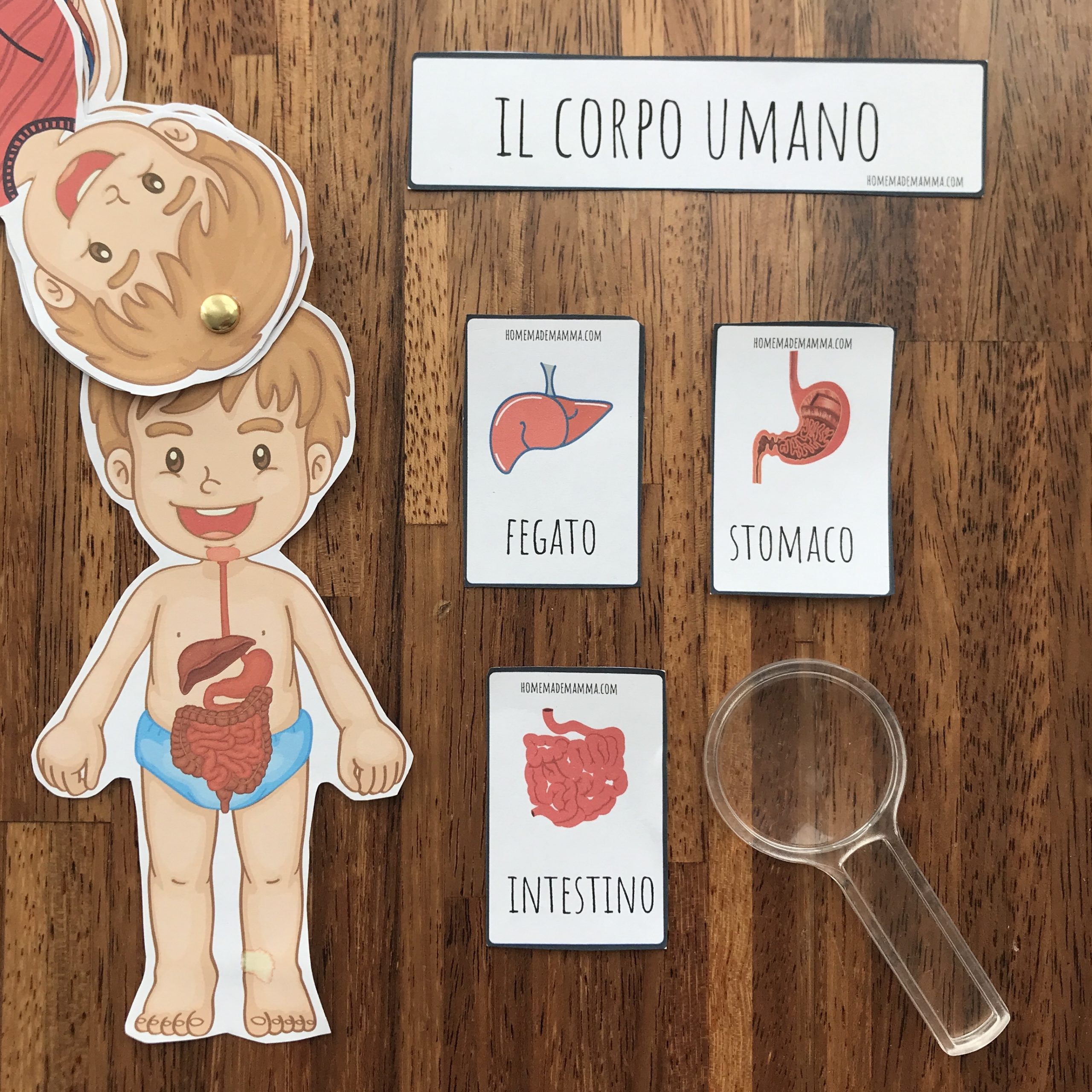 Alla scoperta del corpo umano: un libretto che si trasforma in un gioco